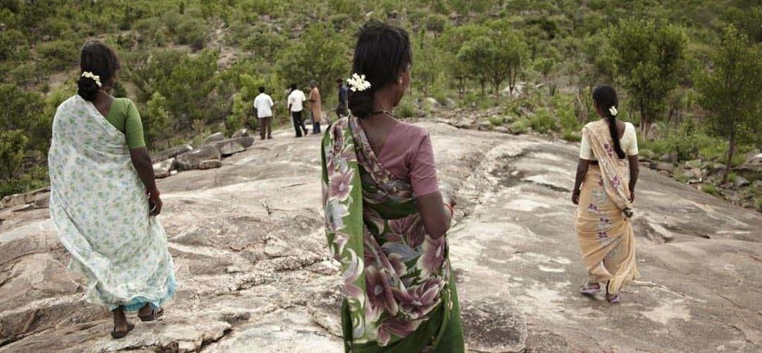 Foundation for Ecological Security